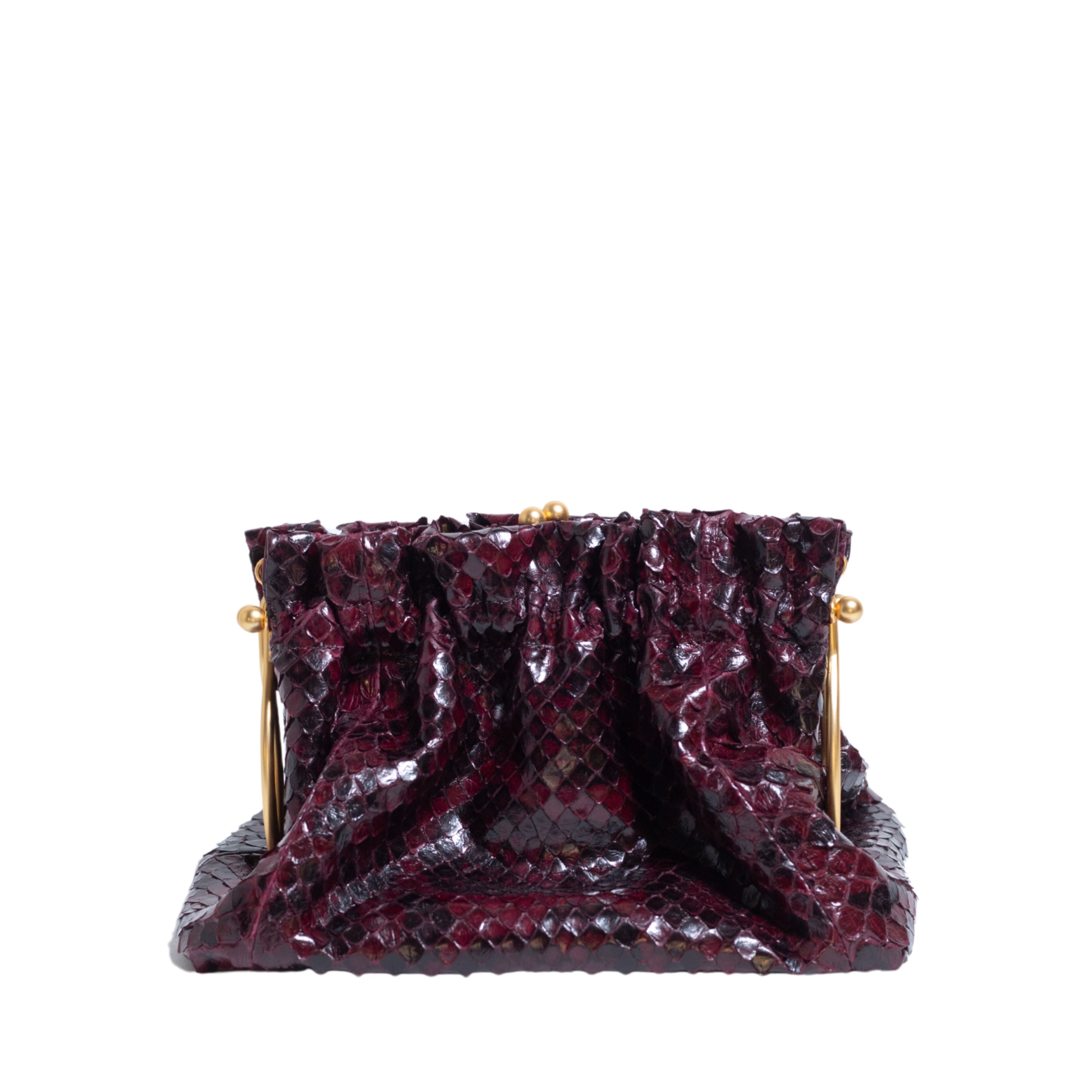 RAVIOLO ANACONDA BDX